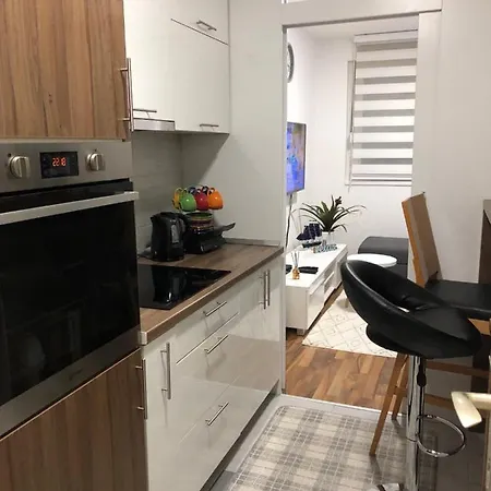 Welcome To The Mesic- Airport Apartment *