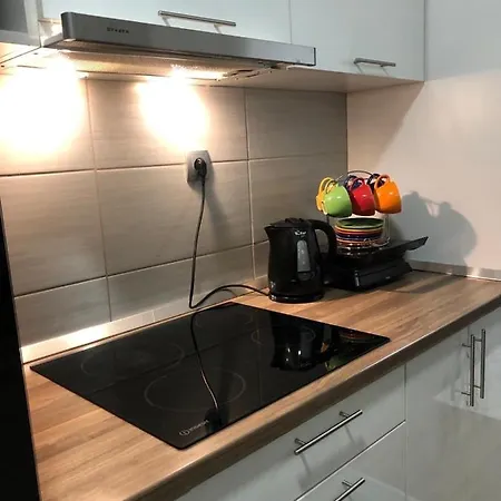 Welcome To The Mesic- Airport Daire