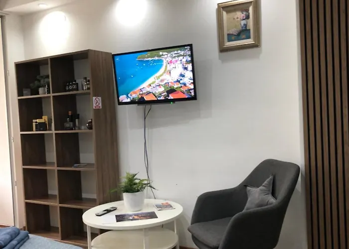 Welcome To The Mesic- Airport 아파트 사라예보